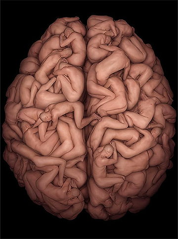 Human_Brain-with-bodies1
